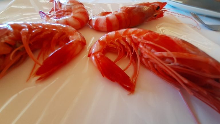 Gambas. El Faralló. Dènia, Foto: Alberto Luchini.