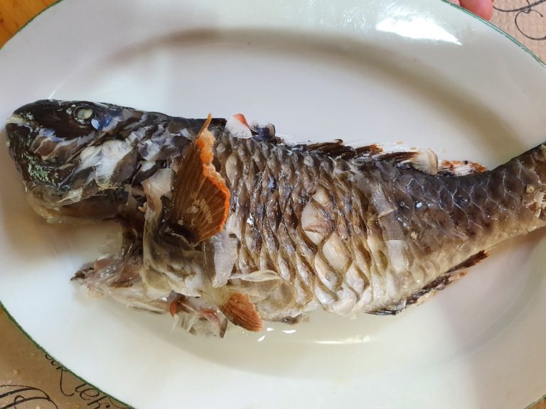 Crónicas de la maresía: Casa Andrés (Tenerife) Vieja hervida. Casa Andrés. Tejina. Tenerife. Foto: Xavier Agulló.