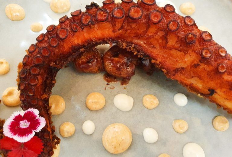 Dabeke (Tenerife), comercial y suculento El rejo de pulpo. Dabeke. La Orotava. Tenerife. Islas Canarias. Foto: Xavier Agulló.