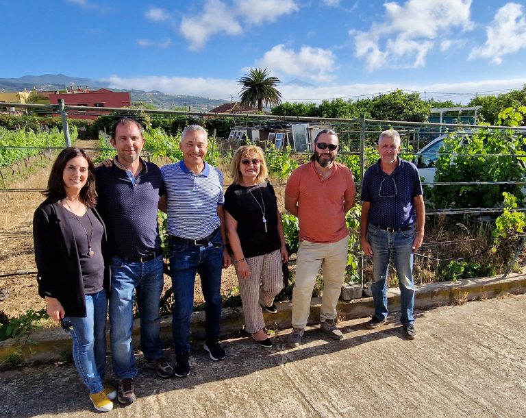 “Sentiterra”, del granel a pequeños y sugestivos vinos de “terroir” en Tenerife Los colegas de Santiterra. Tacoronte. Tenerife (Islas Canarias). Foto: Xavier Agulló.