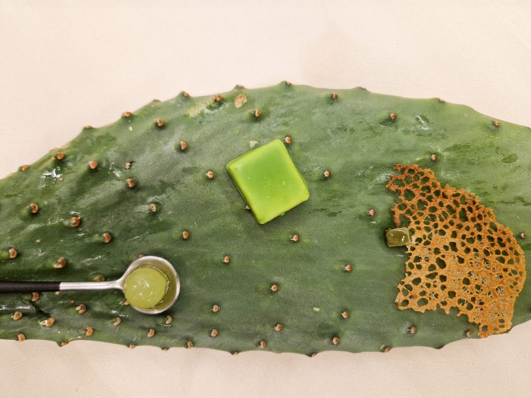 Menú sólo tunera. Muxgo Borja Marrero. Las Palmas de Gran Canaria. Foto: Xavier Agulló.